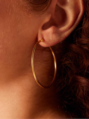 Boucles d'oreilles Lucardi en or : devant