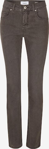 Angels Jeans 'Cici' in Brown: front