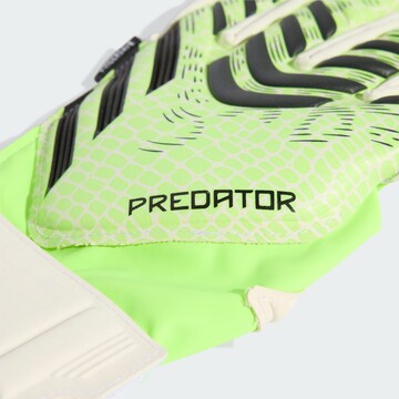 ADIDAS PERFORMANCE Sports gloves 'Predator' in Green