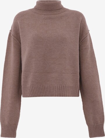 Pull-over aleva en marron : devant