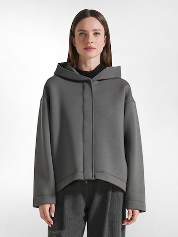 DEHA Sweatshirt in Grey: front