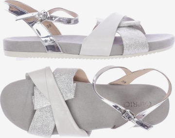 CAPRICE Sandals & High-Heeled Sandals in 39 in Silver: front