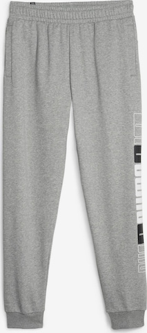PUMA Zúžený Sportovní kalhoty – šedá: přední strana