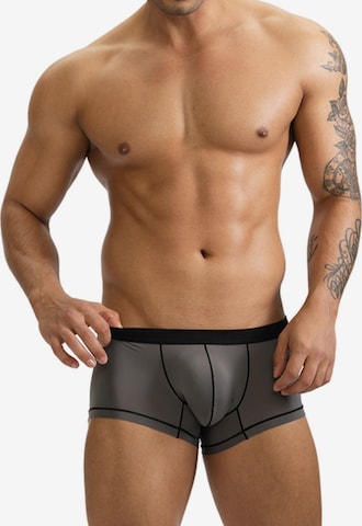 BIMONI Boxer shorts 'Dünn' in Grey: front