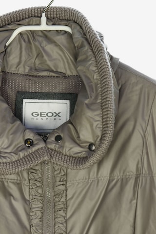 GEOX Daunenjacke L in Beige