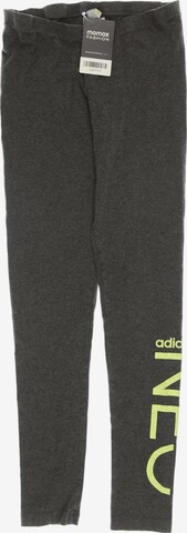 ADIDAS NEO Pants in XS in Grey: front