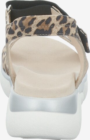 GERRY WEBER SHOES Sandalen met riem 'Arzignano' in Bruin