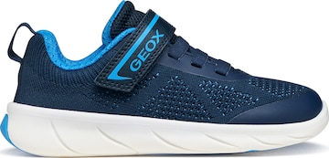 GEOX Sneaker in Blau: Vorderseite