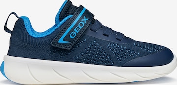GEOX Sneaker in Blau: Vorderseite