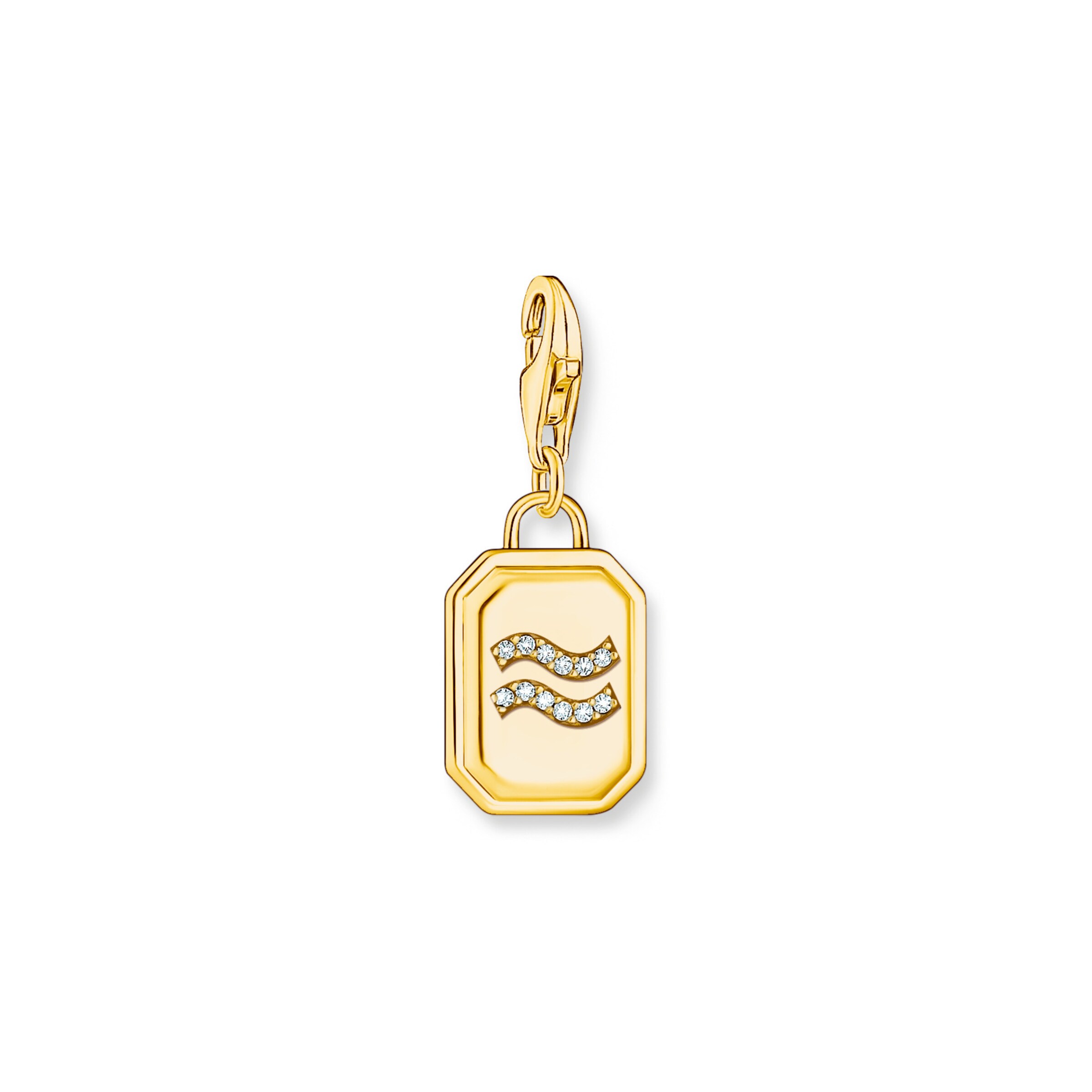 Thomas Sabo Anhänger 'Wassermann' in Gold: Vorderseite
