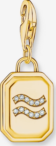 Thomas Sabo Anhänger 'Wassermann' in Gold: Vorderseite