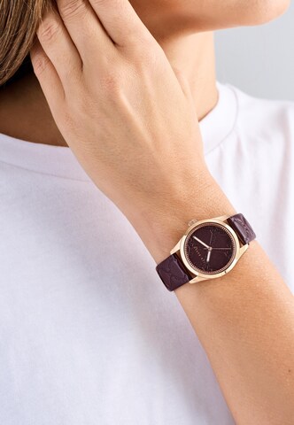 Montre à affichage analogique 'COOLLY ' Ted Baker en marron : devant