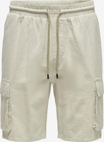 Only & Sons Regular Cargo Pants 'Sinus' in Grey: front