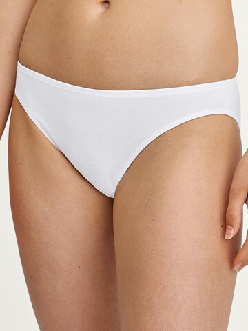 Slip 'Essential Cotton' di CALIDA in bianco