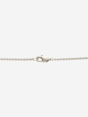 Calvin Klein Ketting in Zilver