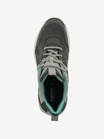 GEOX Sneaker 'Delray' in Grau