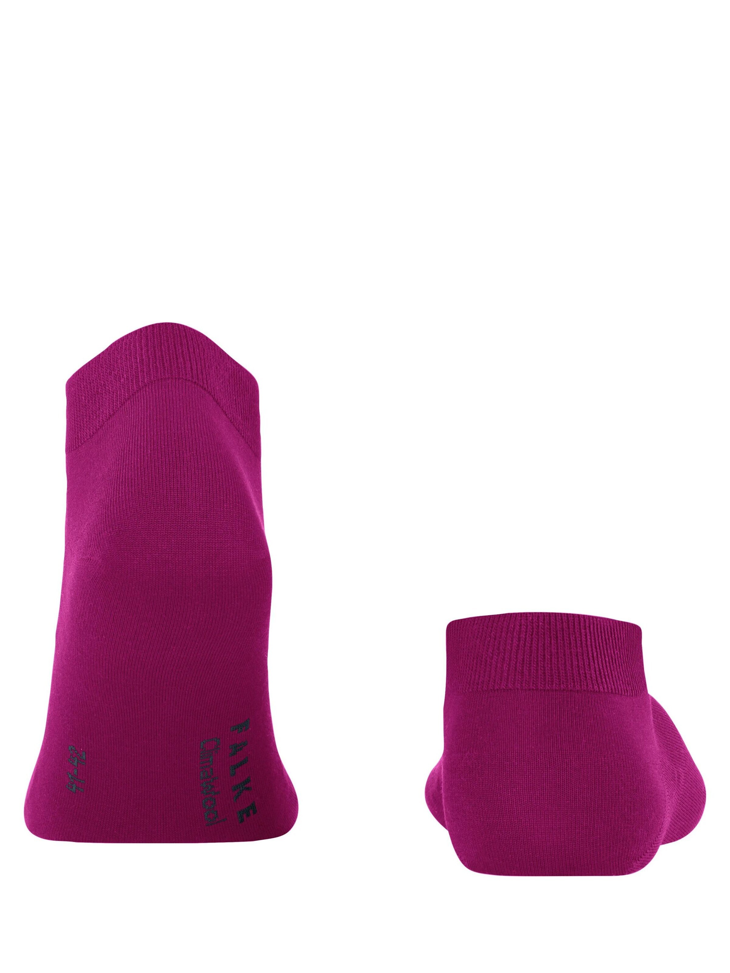 FALKE Socks 'ClimaWool' in Purple