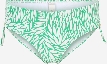 Pantaloncini per bikini di LingaDore in verde: frontale