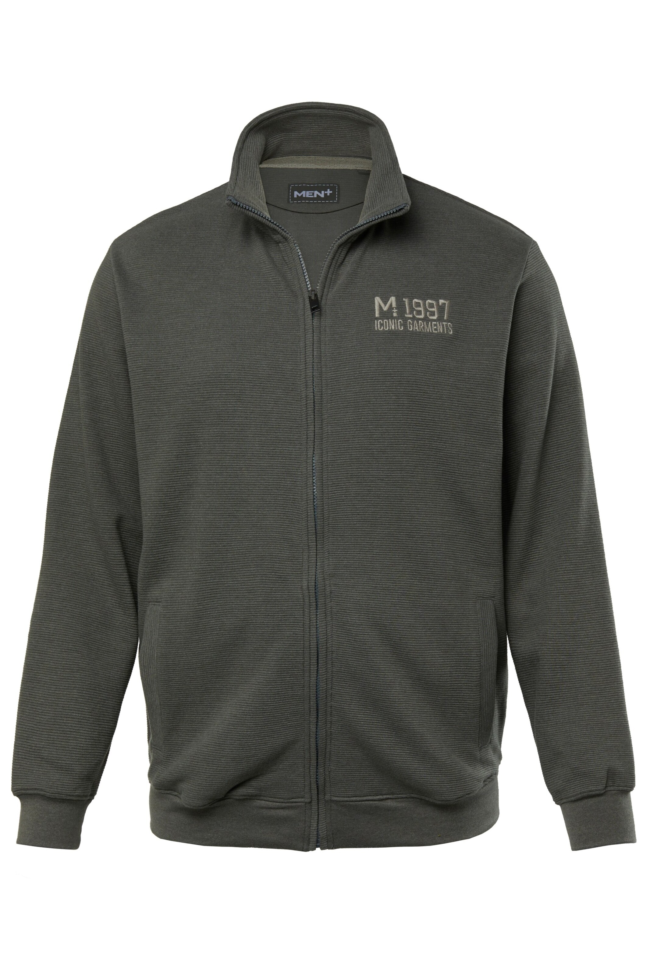 Men Plus Sweatjacke in Grau: Vorderseite