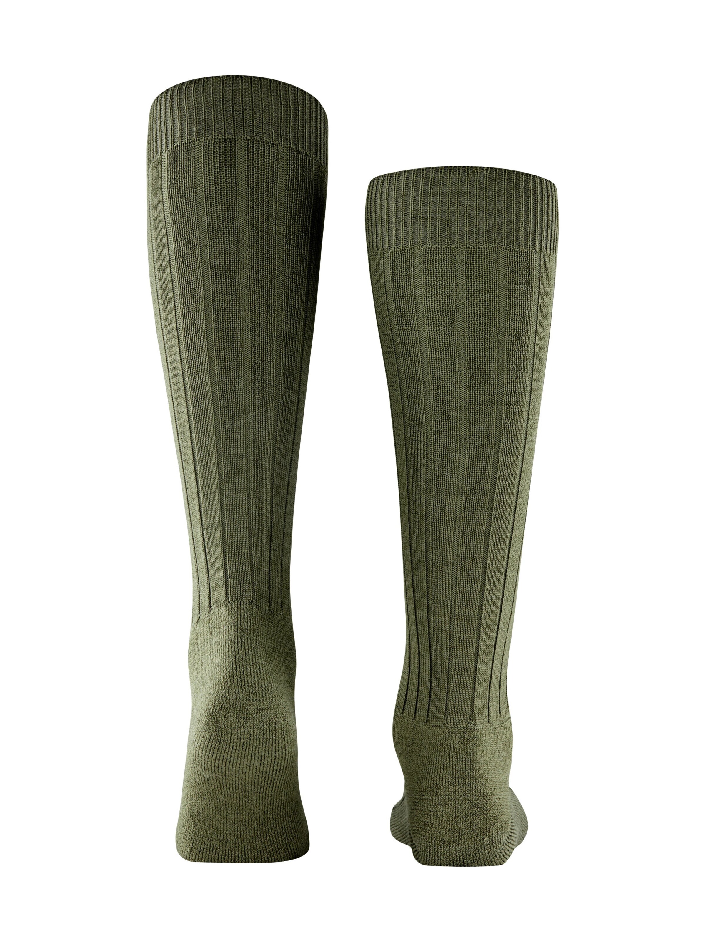 FALKE Knee High Socks 'Teppich im Schuh' in Green