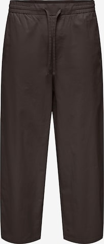 Pantalon 'ONSDaves' Only & Sons en marron : devant