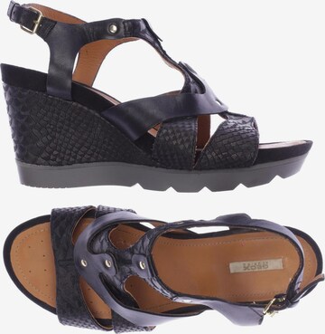 GEOX Sandals & High-Heeled Sandals in 40 in Black: front