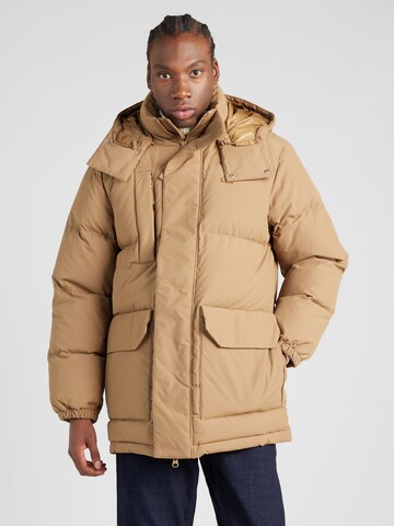 LACOSTE Winter Jacket in Brown: front