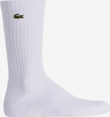 LACOSTE Socken in Weiß