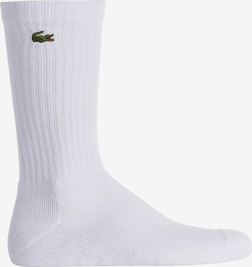 LACOSTE Socken in Weiß
