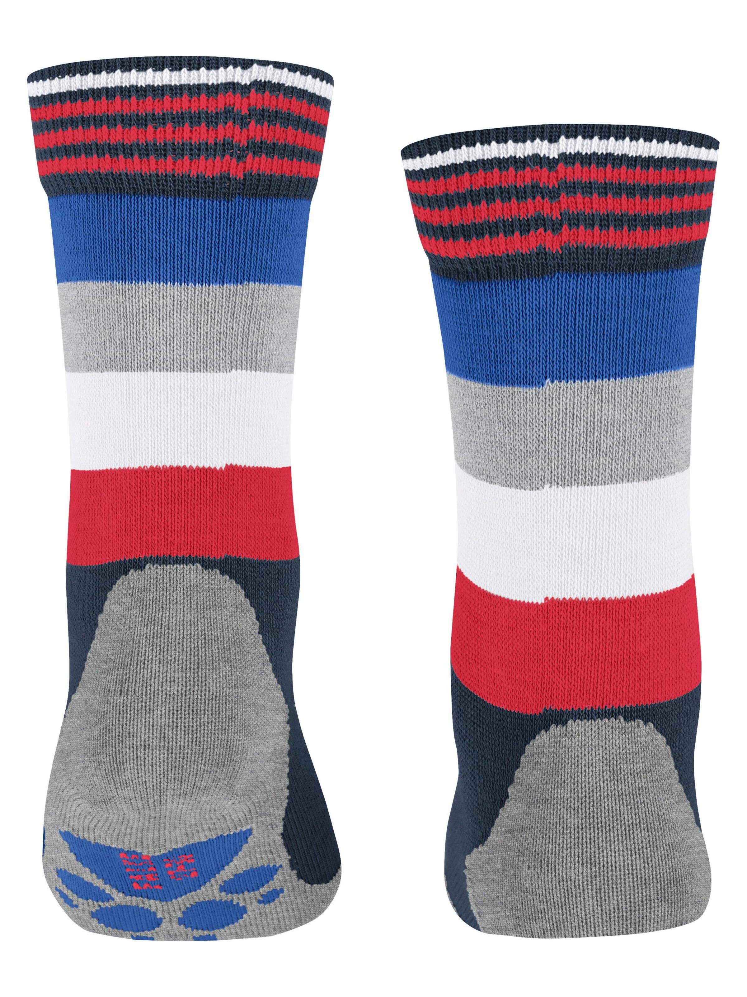 FALKE Socks 'Active Fox' in Blue