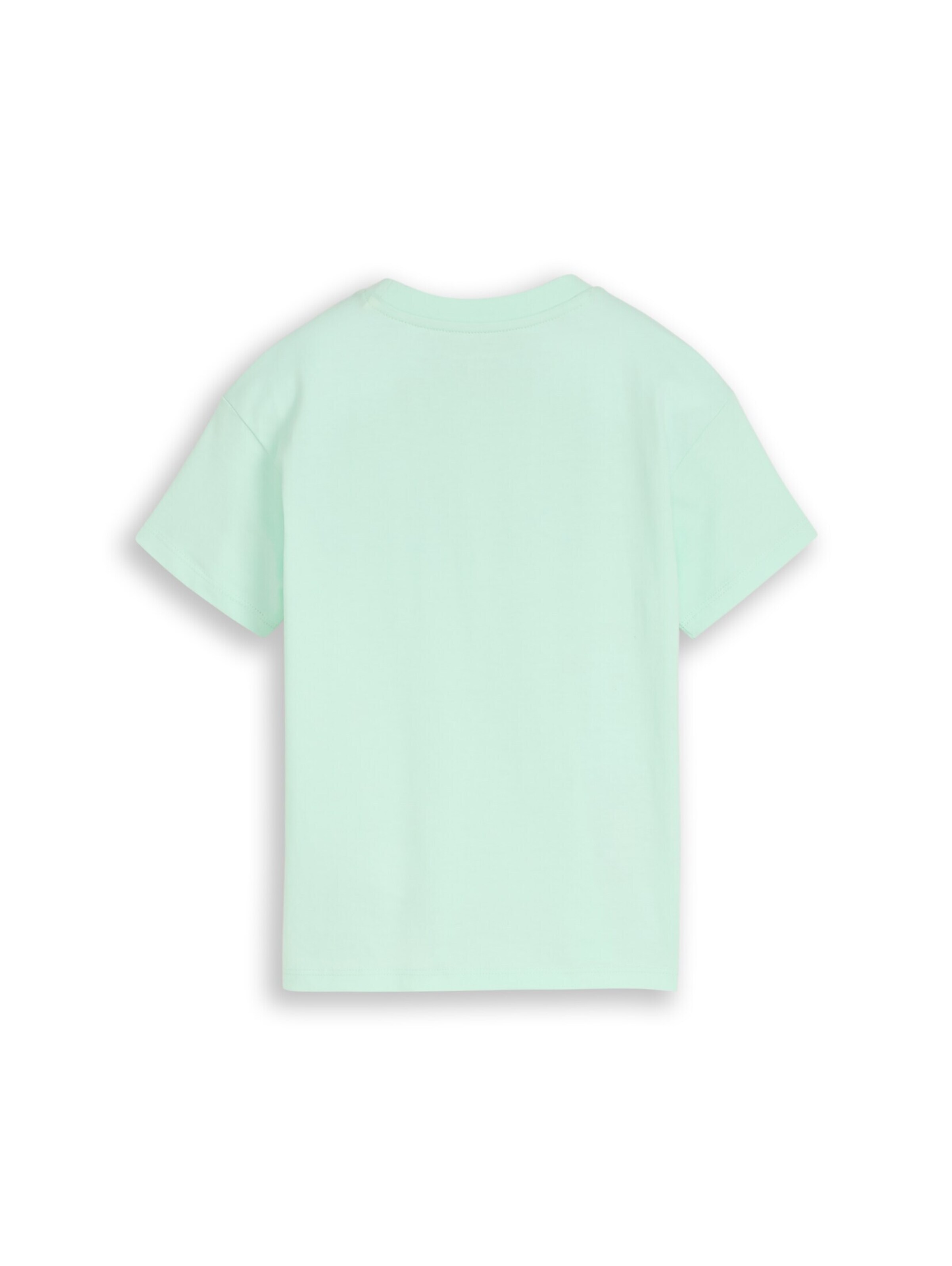 TOM TAILOR T-Shirt in Blau