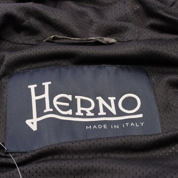 Herno Jacket & Coat in XL in Green