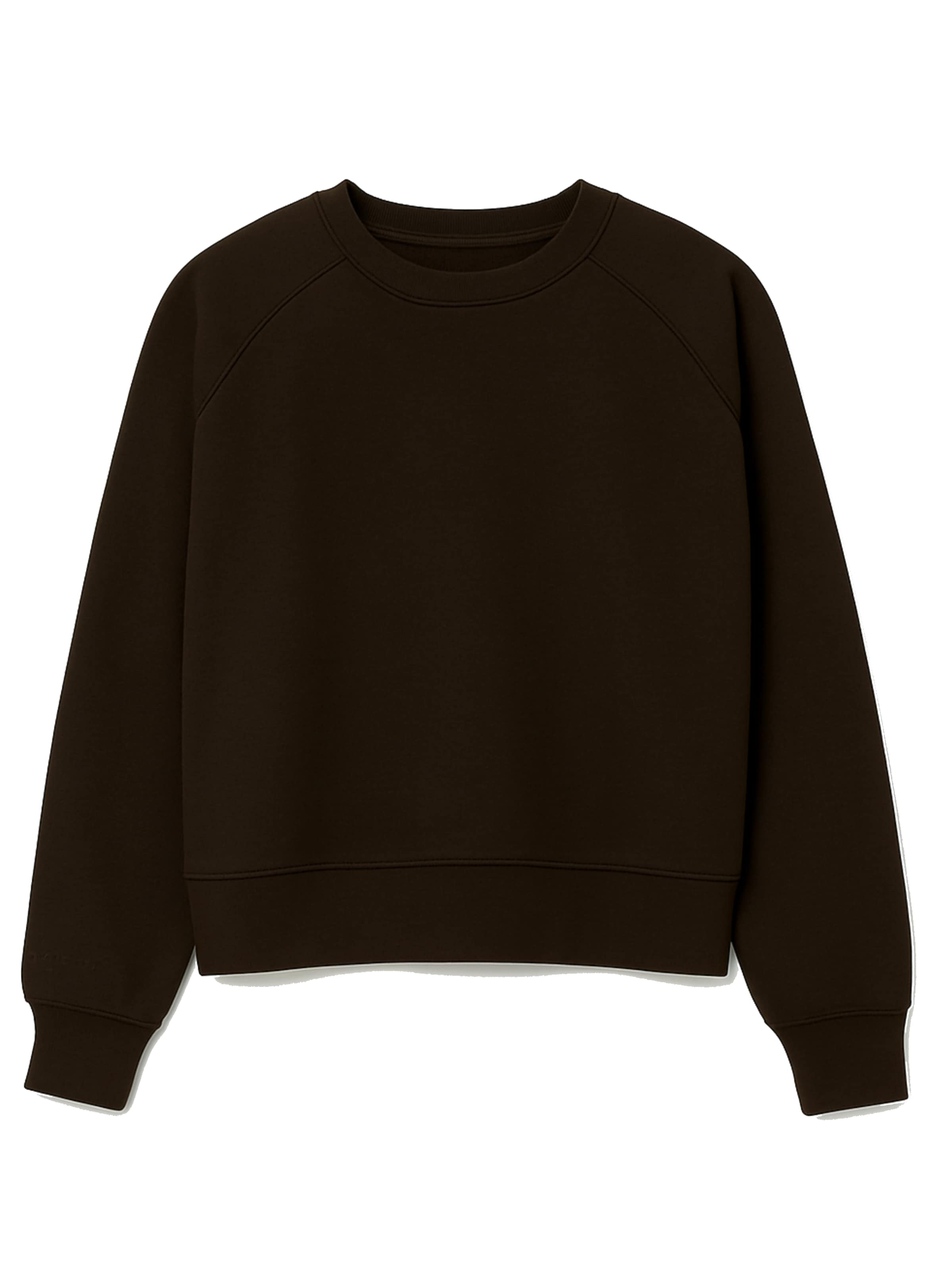 Eoselio Sweatshirt i brun: forside