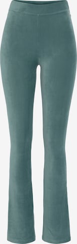 Flared Pantaloni di LASCANA in verde: frontale