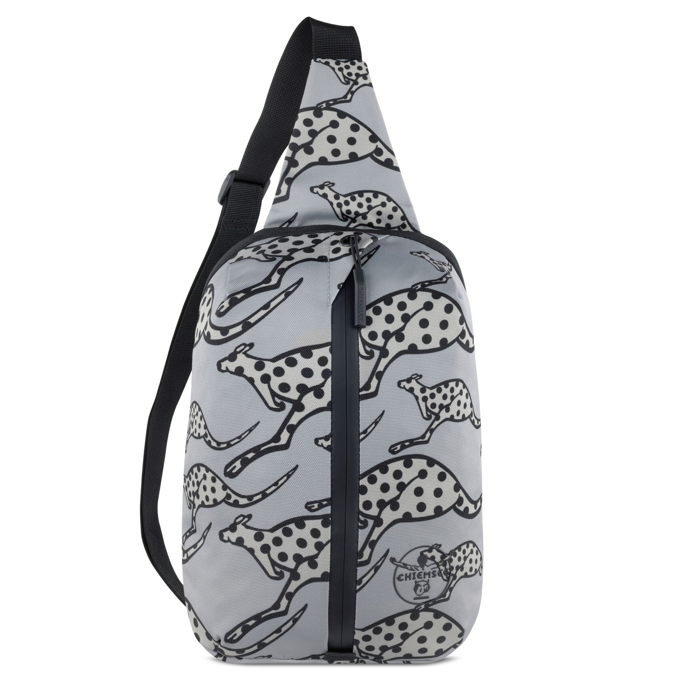 Sac à bandoulière 'Jump N Fly' CHIEMSEE en gris : devant