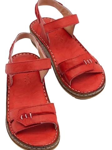 Limoya Sandals 'Damensandalen' in Red