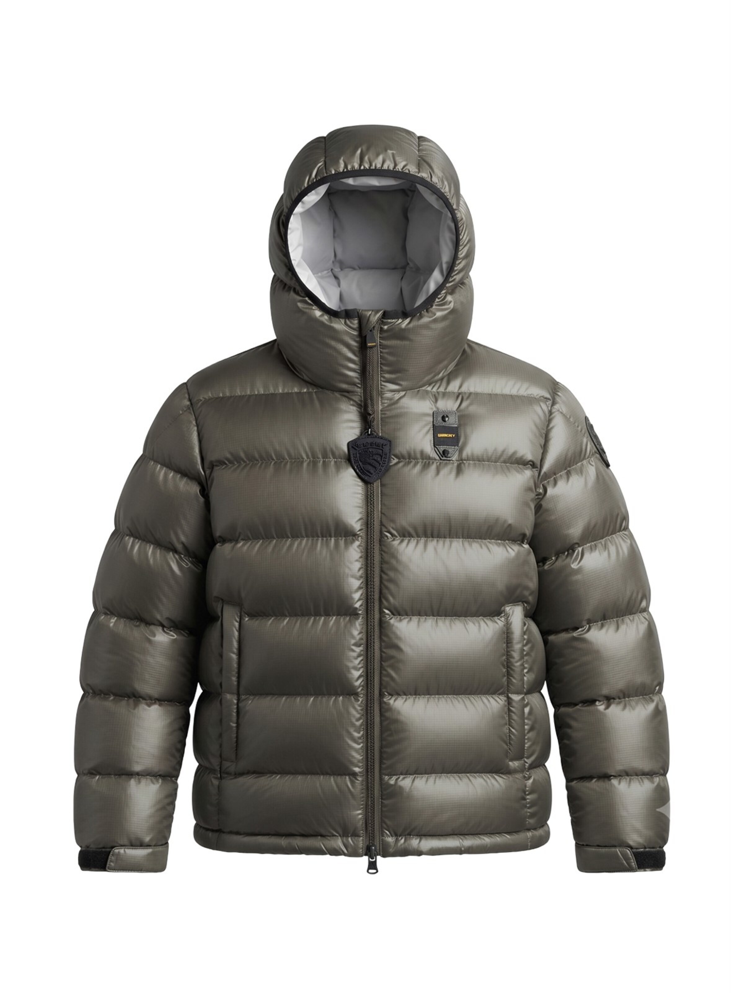 Blauer.USA Winter jacket in Green: front