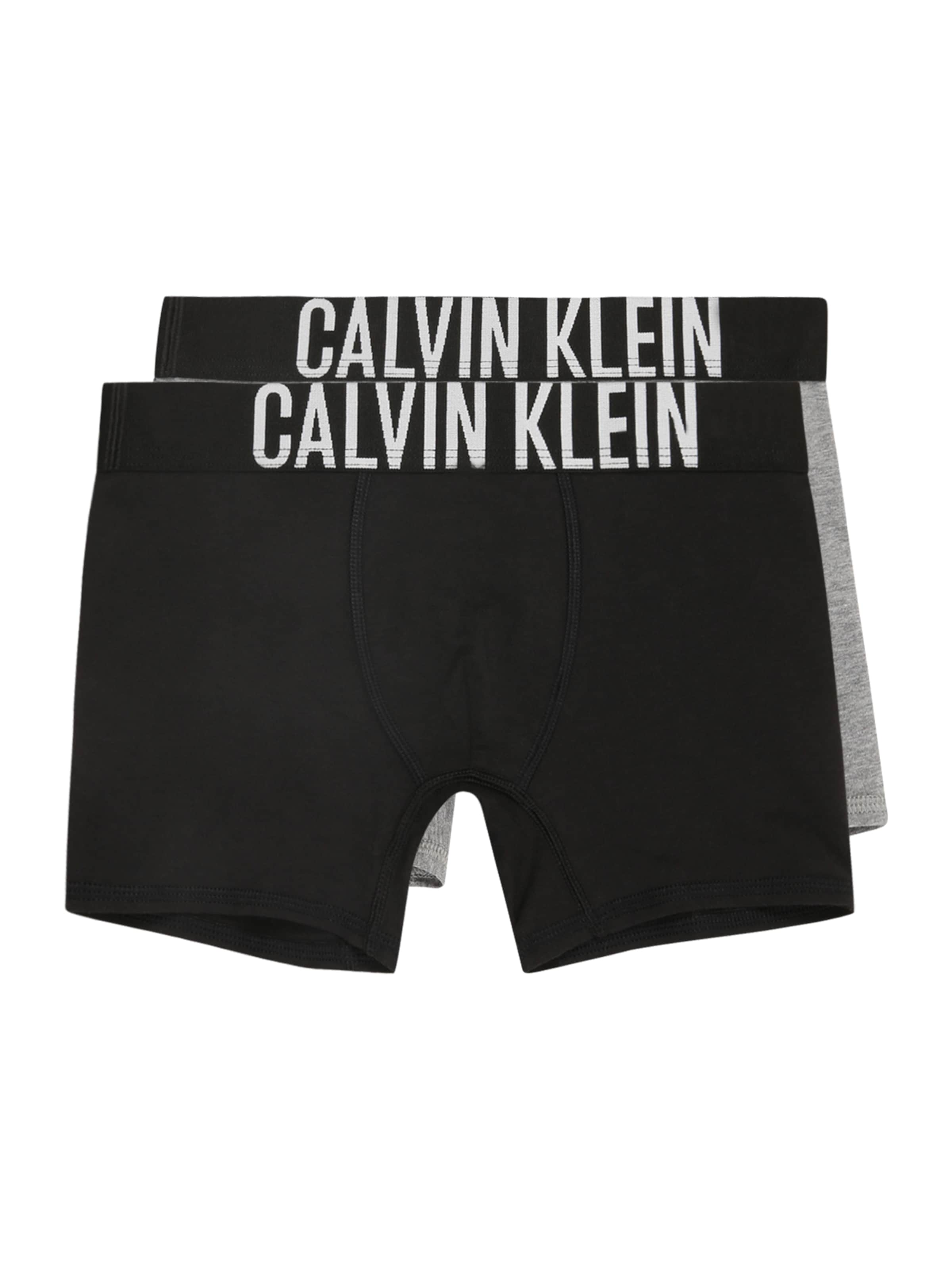 pilka Calvin Klein Underwear Apatinės kelnaitės: priekis