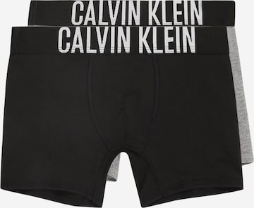 pilka Calvin Klein Underwear Apatinės kelnaitės: priekis