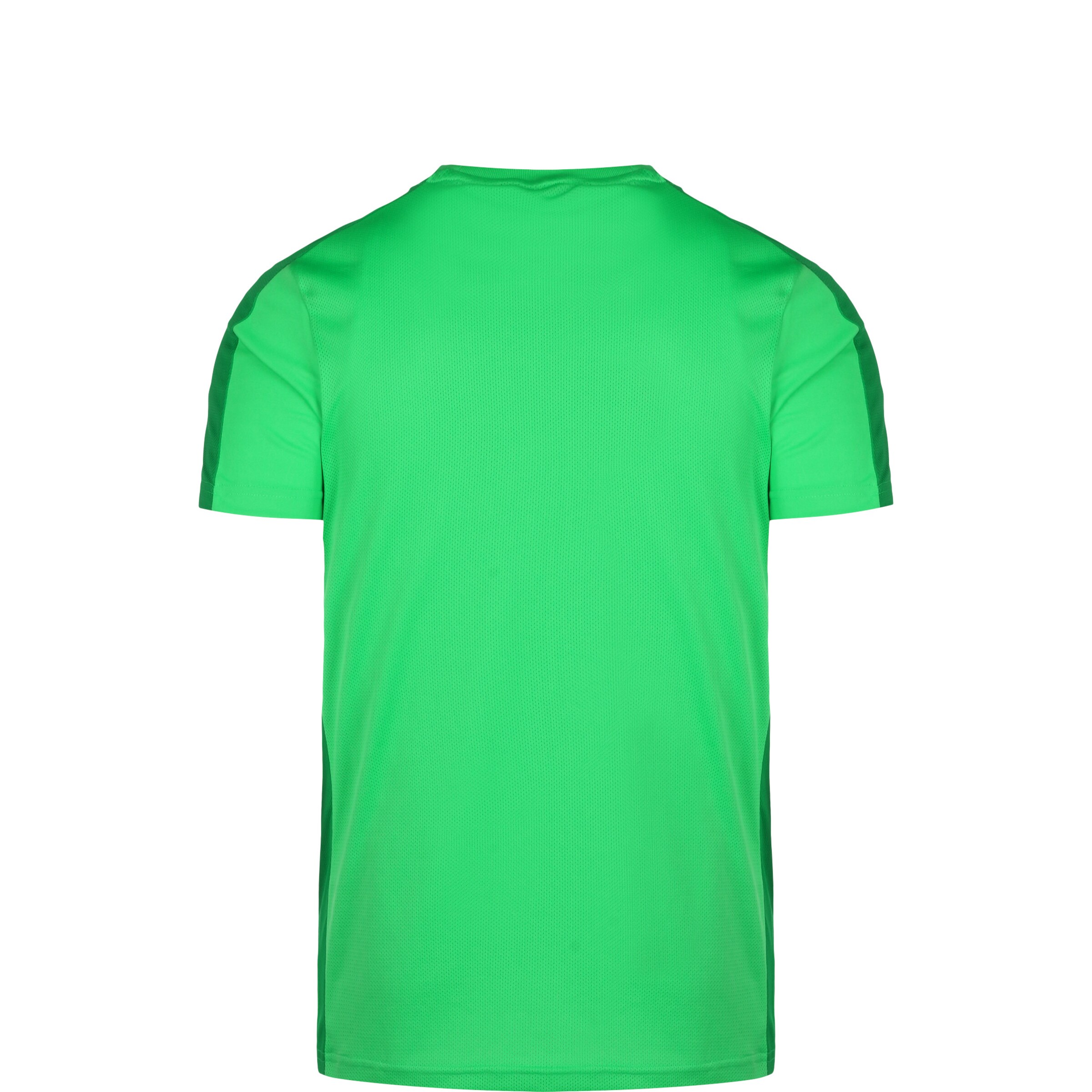 NIKE Performance Shirt 'Academy 23' in Green