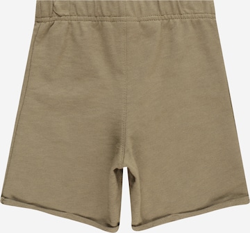 Carter's Regular Shorts in Grün