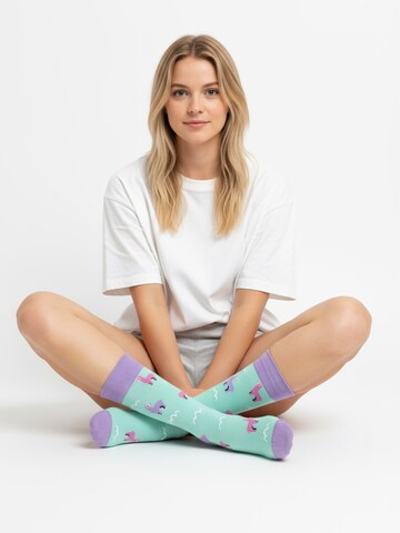 The Arctic Bay - Calcetines ''ZEFYR EDITION Gift box 4 Pack Unisex' en Mezcla de colores