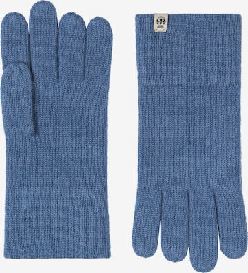 Roeckl Fingerhandschuhe in Blau: Vorderseite
