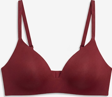 Calvin Klein Underwear Bra in Purple: front