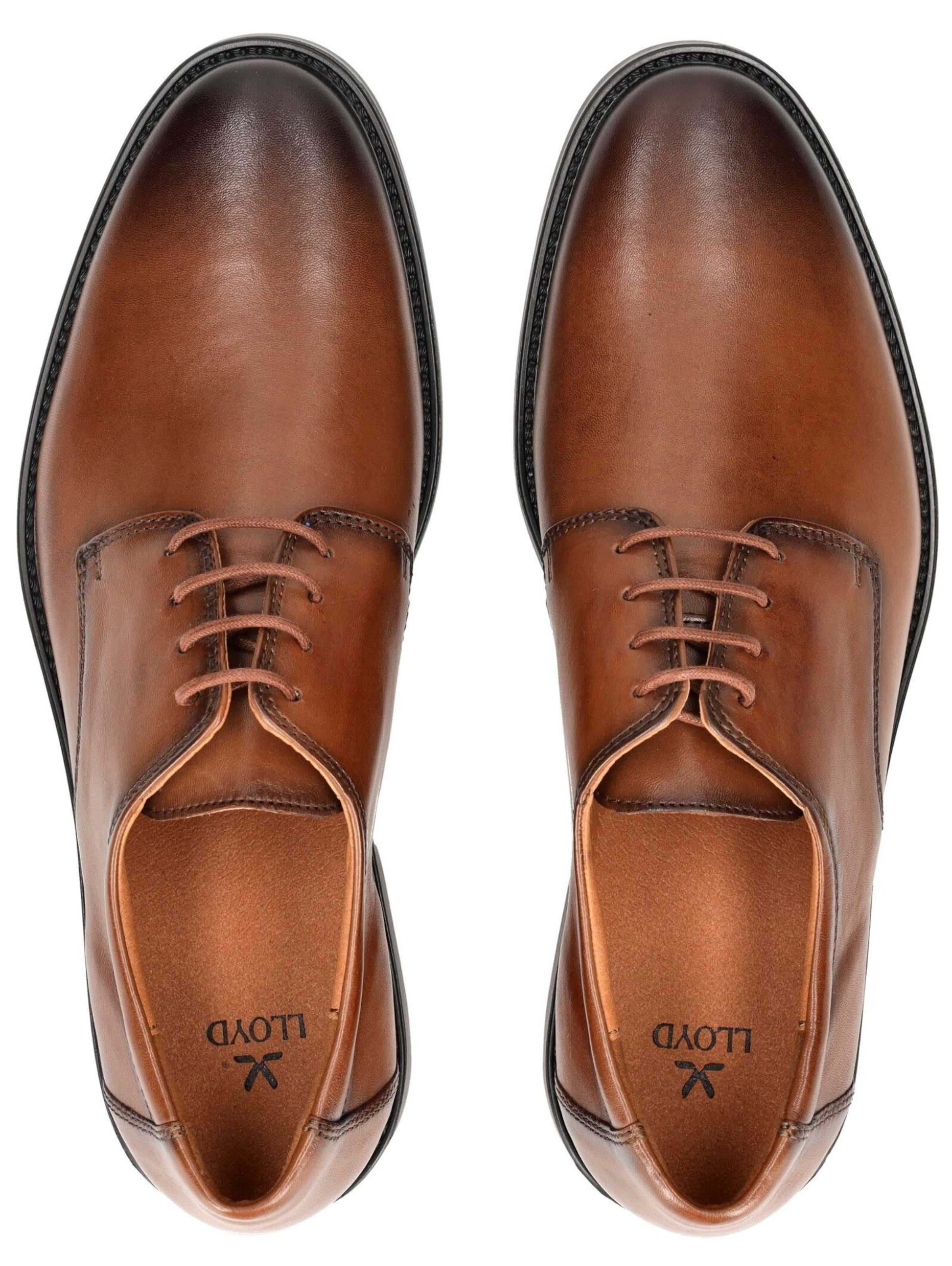 Scarpa stringata 'Core 110' di LLOYD in marrone