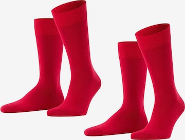 FALKE Socks in Red: front