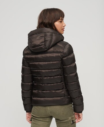 Superdry Winter Jacket 'Fuji' in Brown