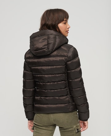 Superdry Jacke 'Fuji' in Braun