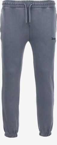 Pantalon Dropsize en gris : devant