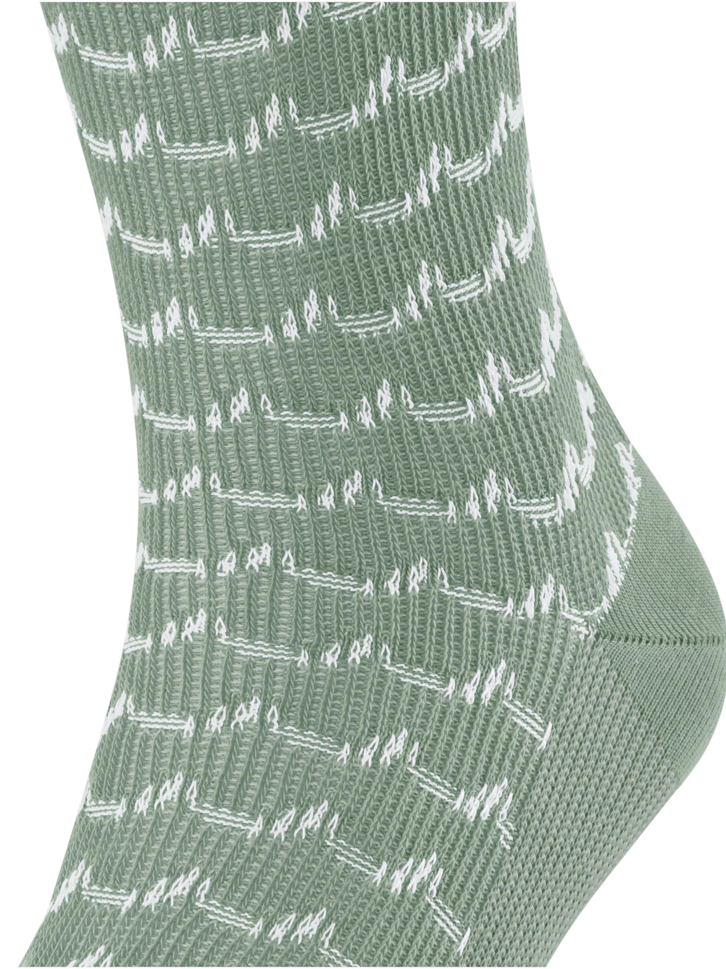 FALKE Socks 'Sea Rock' in Green